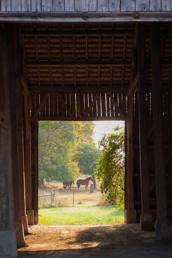 Chambre d'hôtes Fantesstique Berzieux Exterior foto